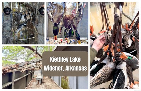 Waterfowl Hunting Land