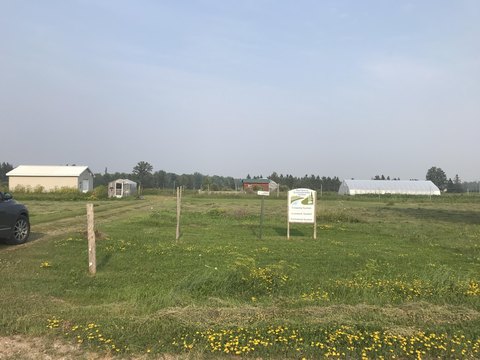 15-Acre Farmland Parcel in Rudyard