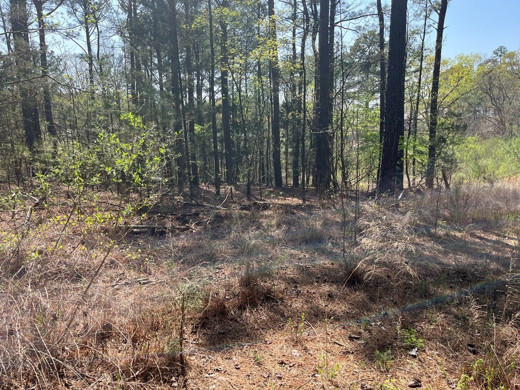 Picture 6