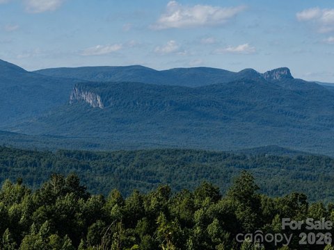 LAND - Nebo, NC