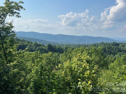 LAND - Nebo, NC