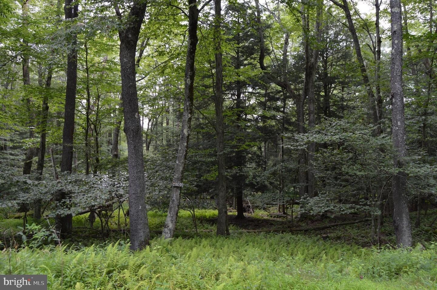 Lake Access Getaway Lot