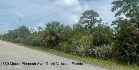 Rare 3.5 Acre Land Parcel