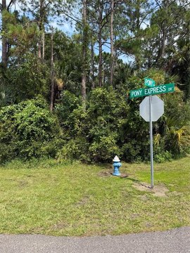 LAND - PALM COAST, FL