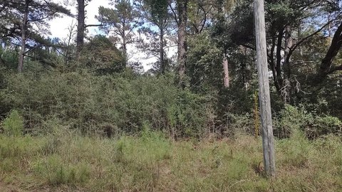 Lots/Land, Lumberton, MS