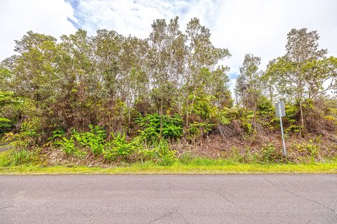 LAND - Volcano, HI
