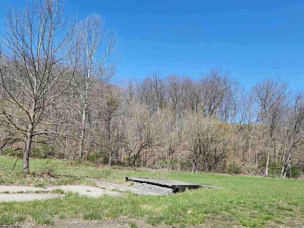 Picture 6