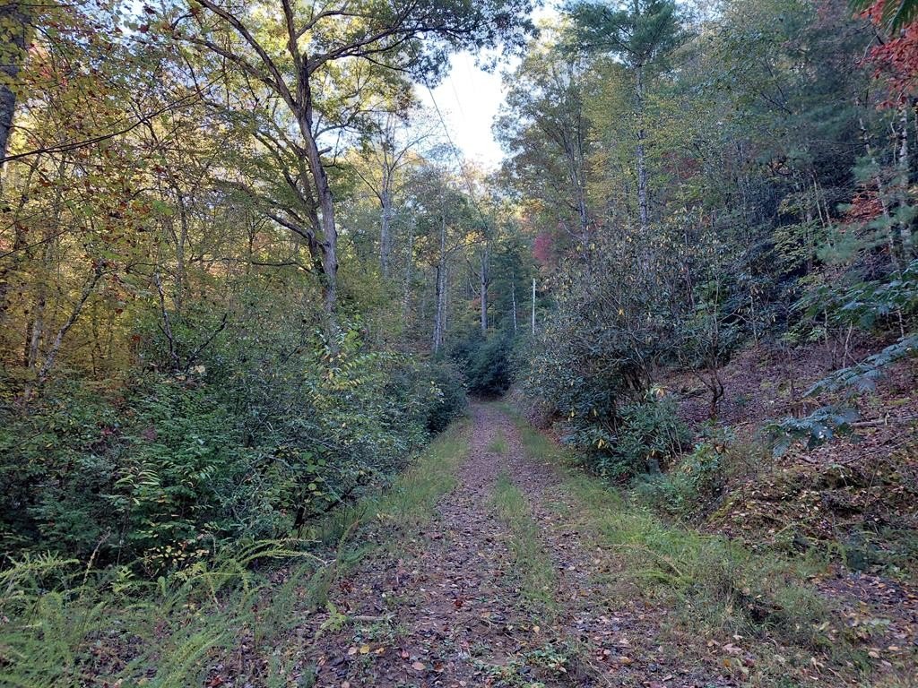 Land Near Lake Fontana