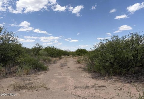 LAND - Elfrida, AZ