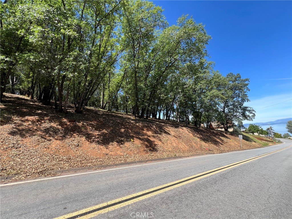 Kelseyville Land with Lake View