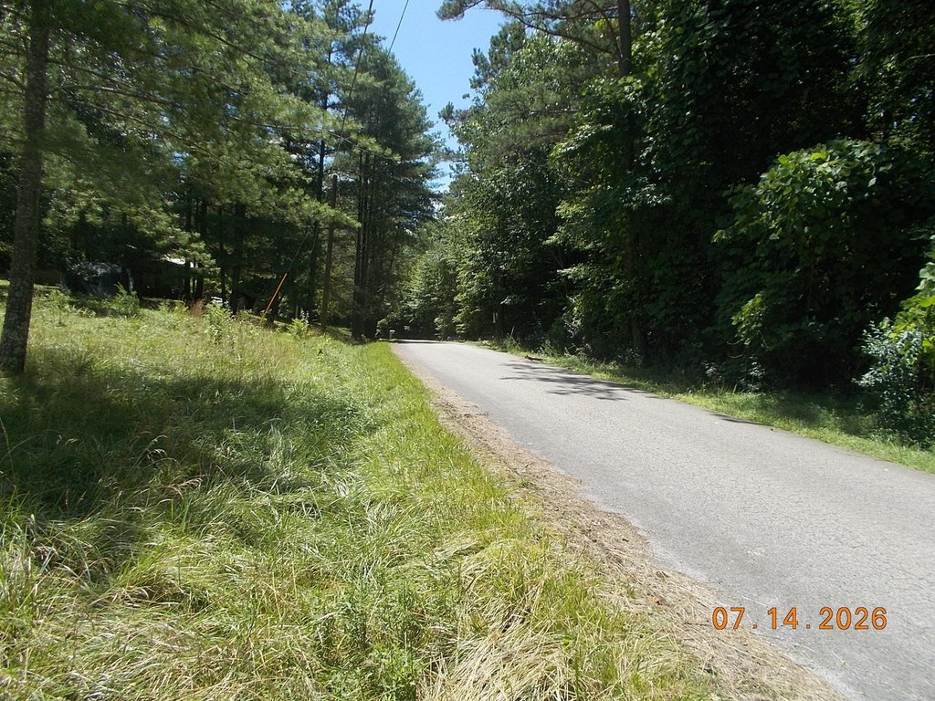 Picture 2