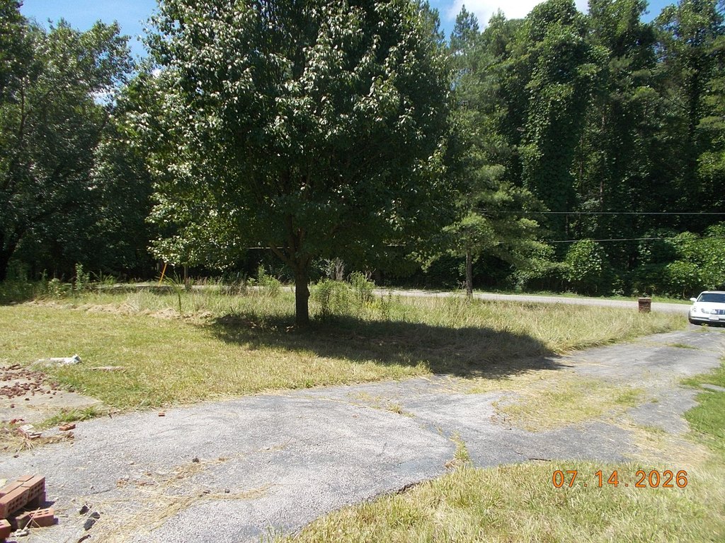Picture 7