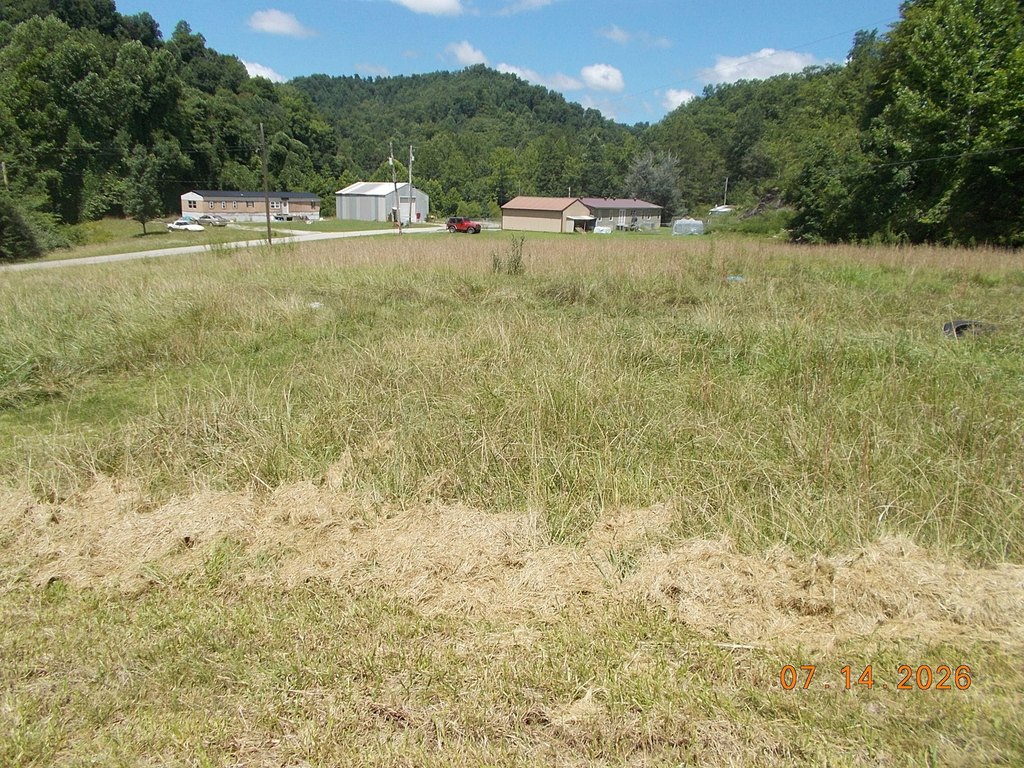 Picture 6