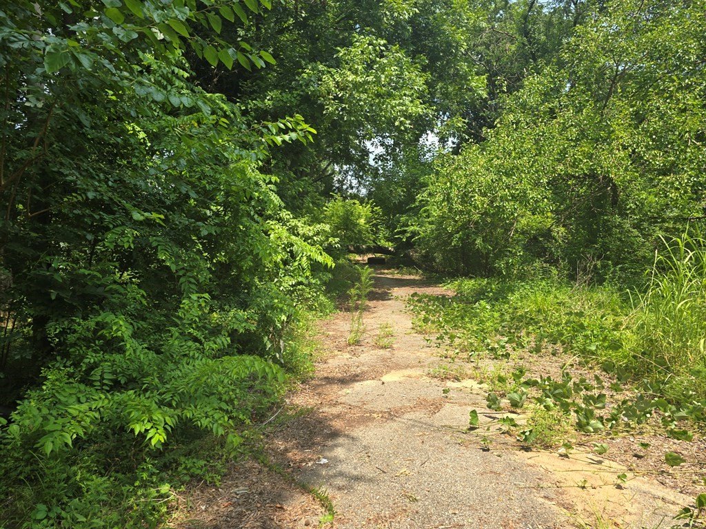 Picture 5