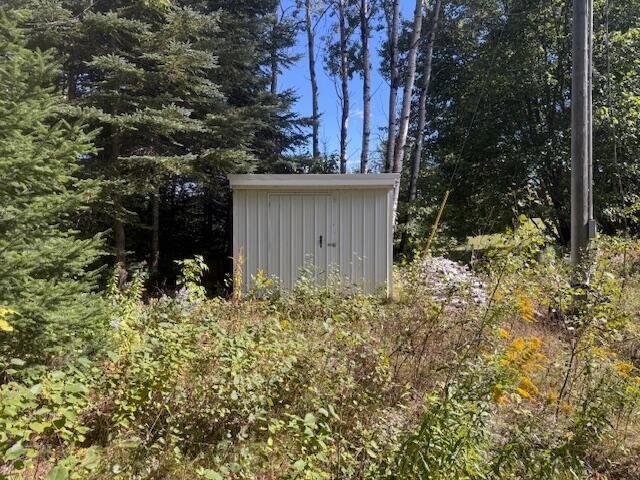 Picture 6