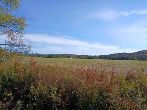 Land, Stewartstown, NH