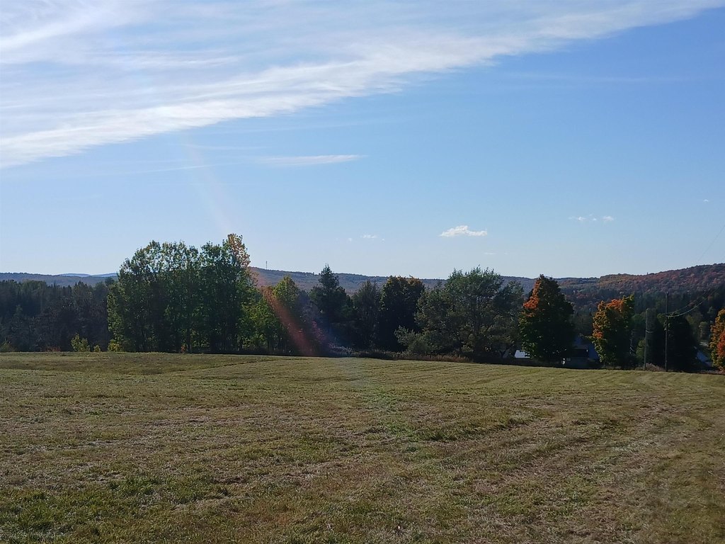 Picture 6