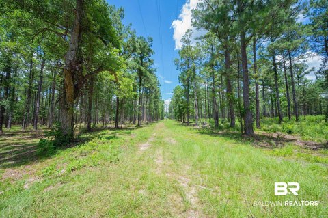 Single-Family Land Parcel