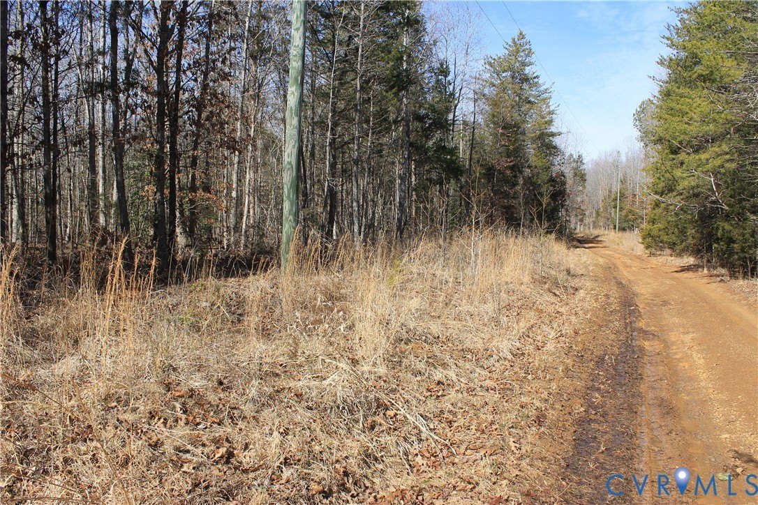 50 Acres of Wooded Privacy