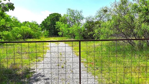 50 Acres of Texas Countryside