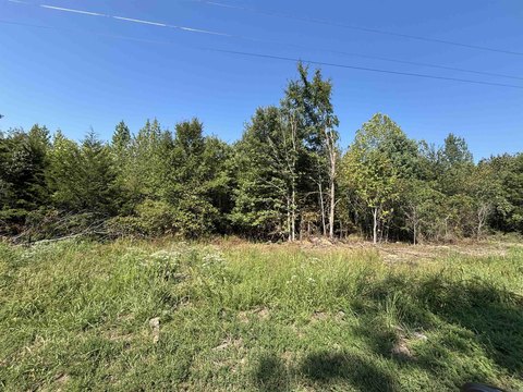 Vacant Land, Edgemont, AR