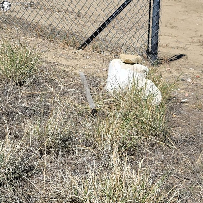 Picture 14