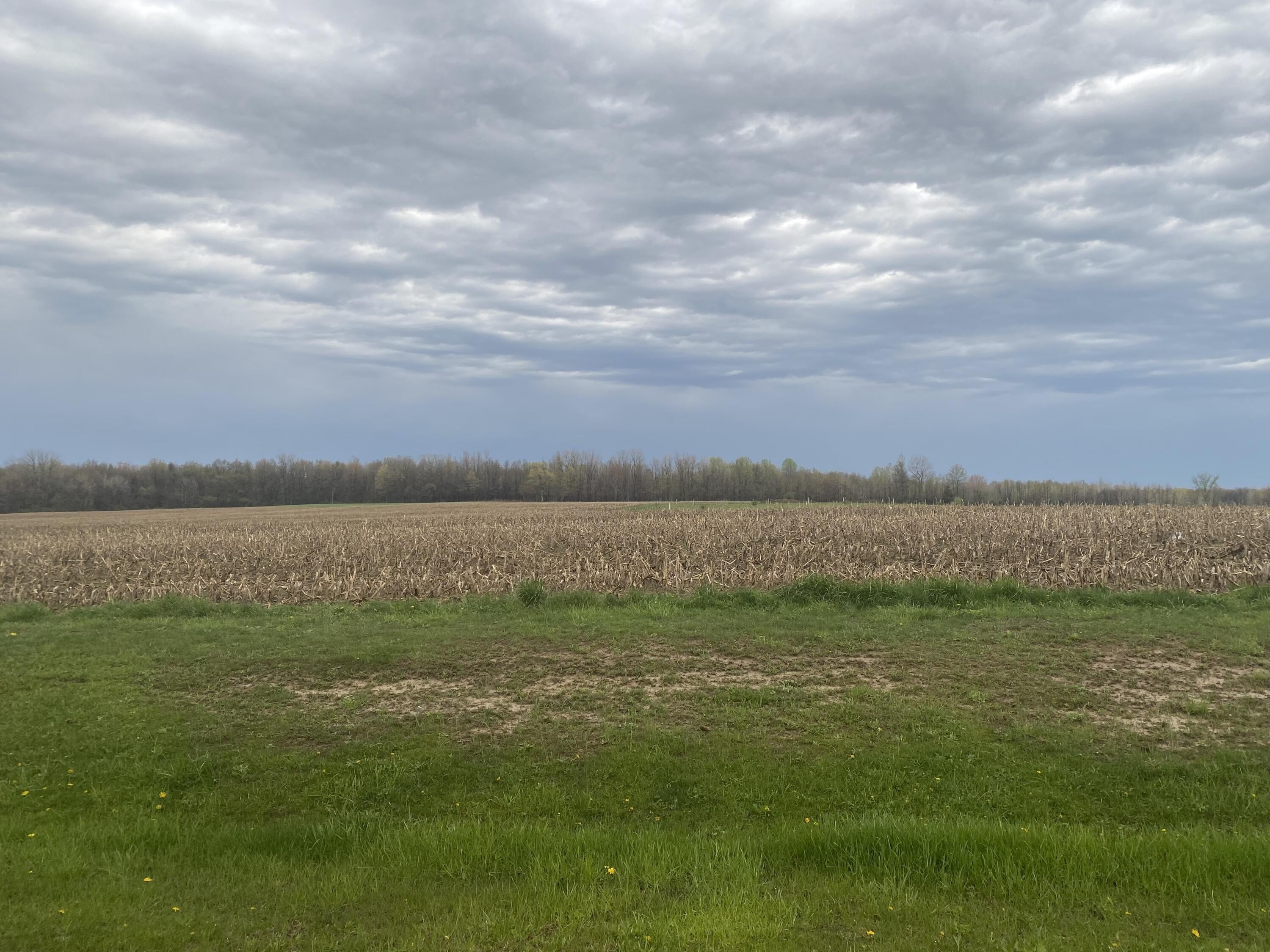 45 Acres of Farmland