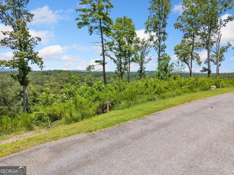 Ellijay, GA Land with Views