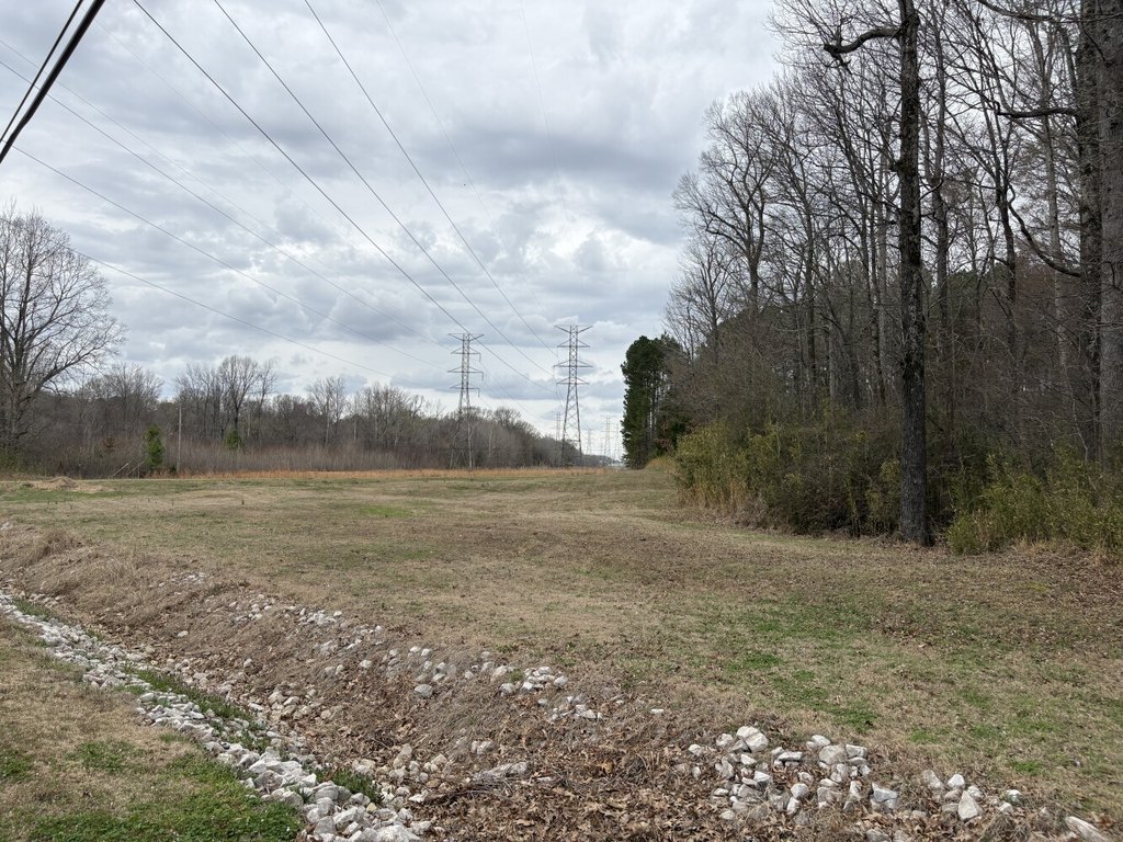 Picture 31