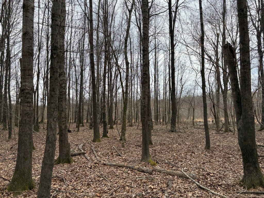 Picture 25