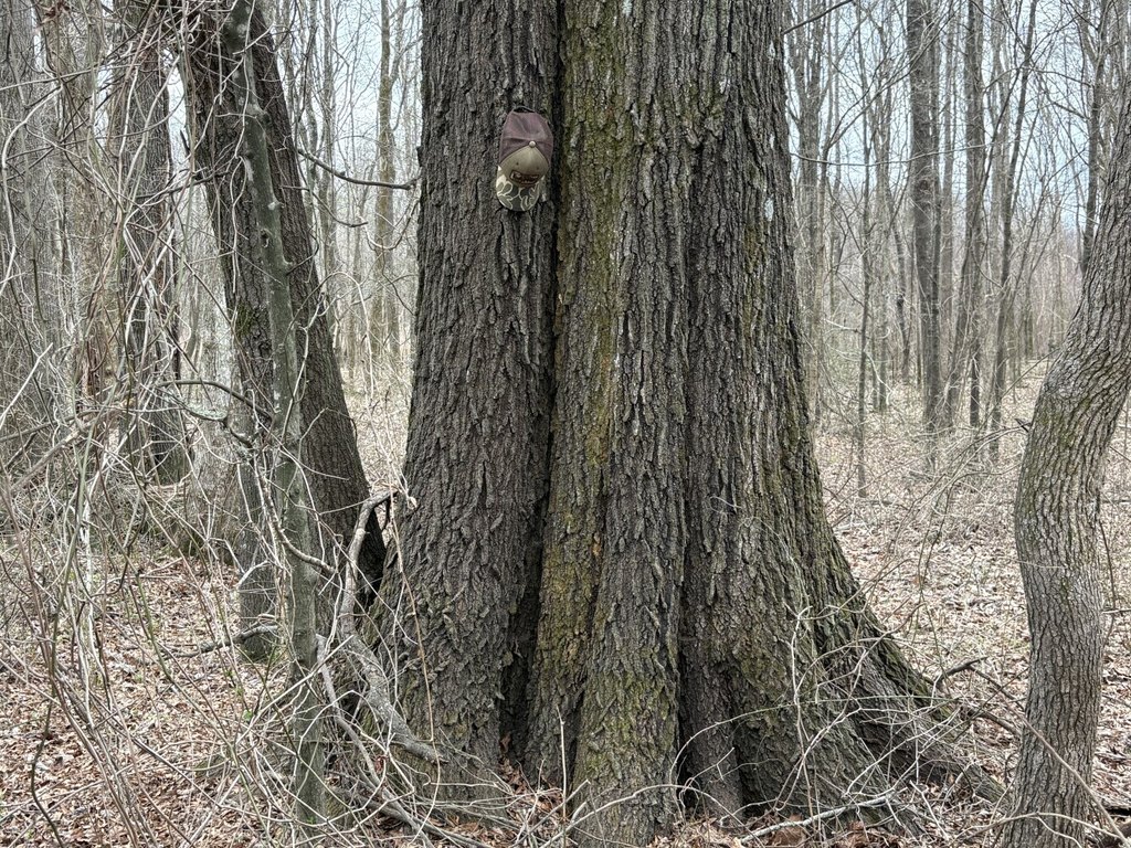 Picture 23