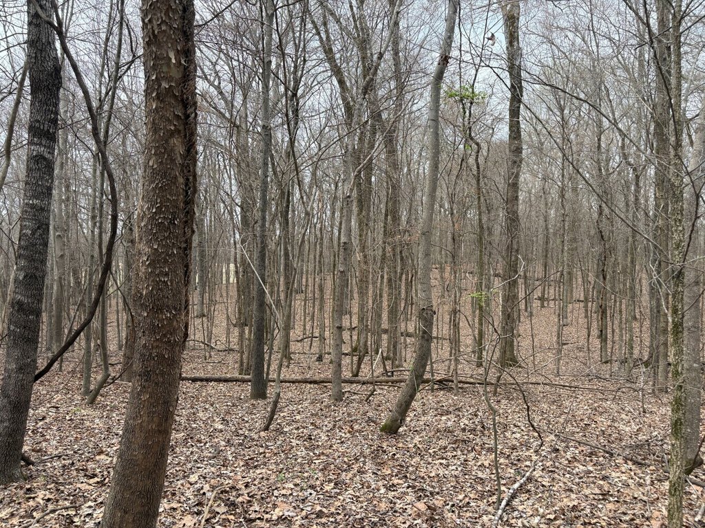 Picture 26