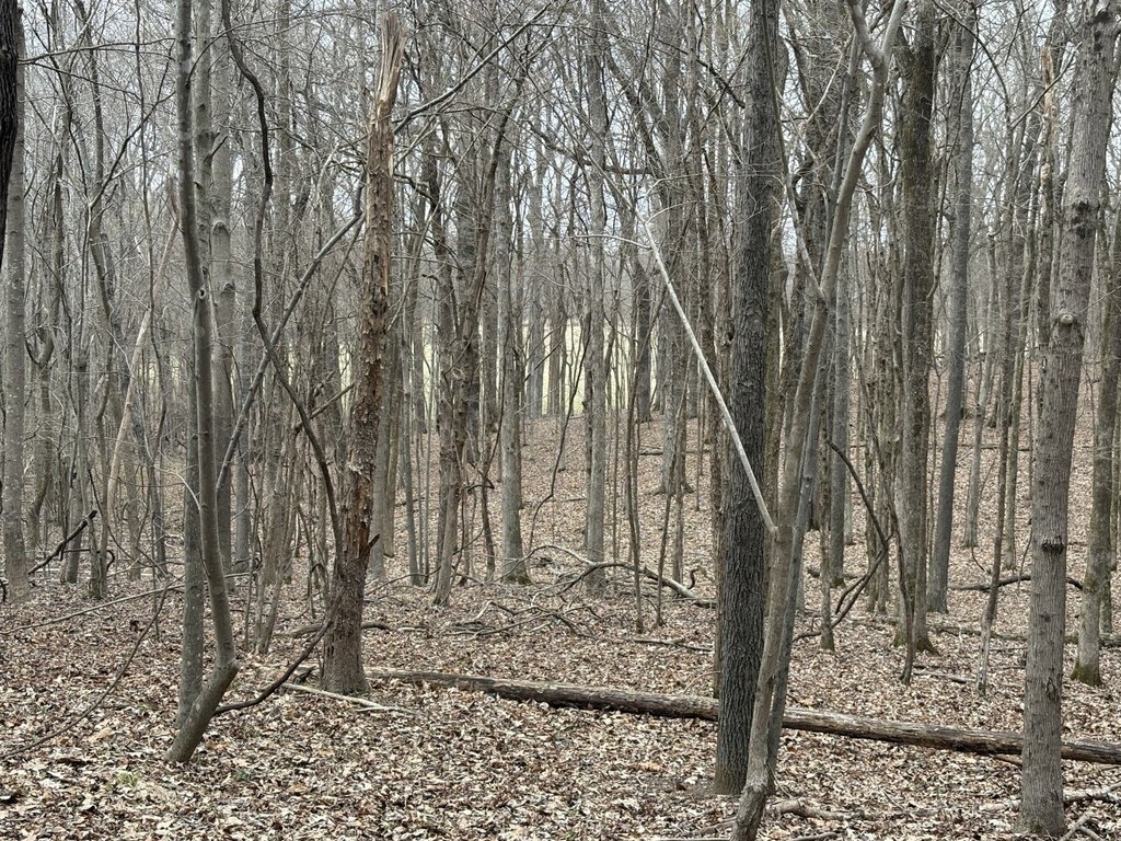 Picture 27