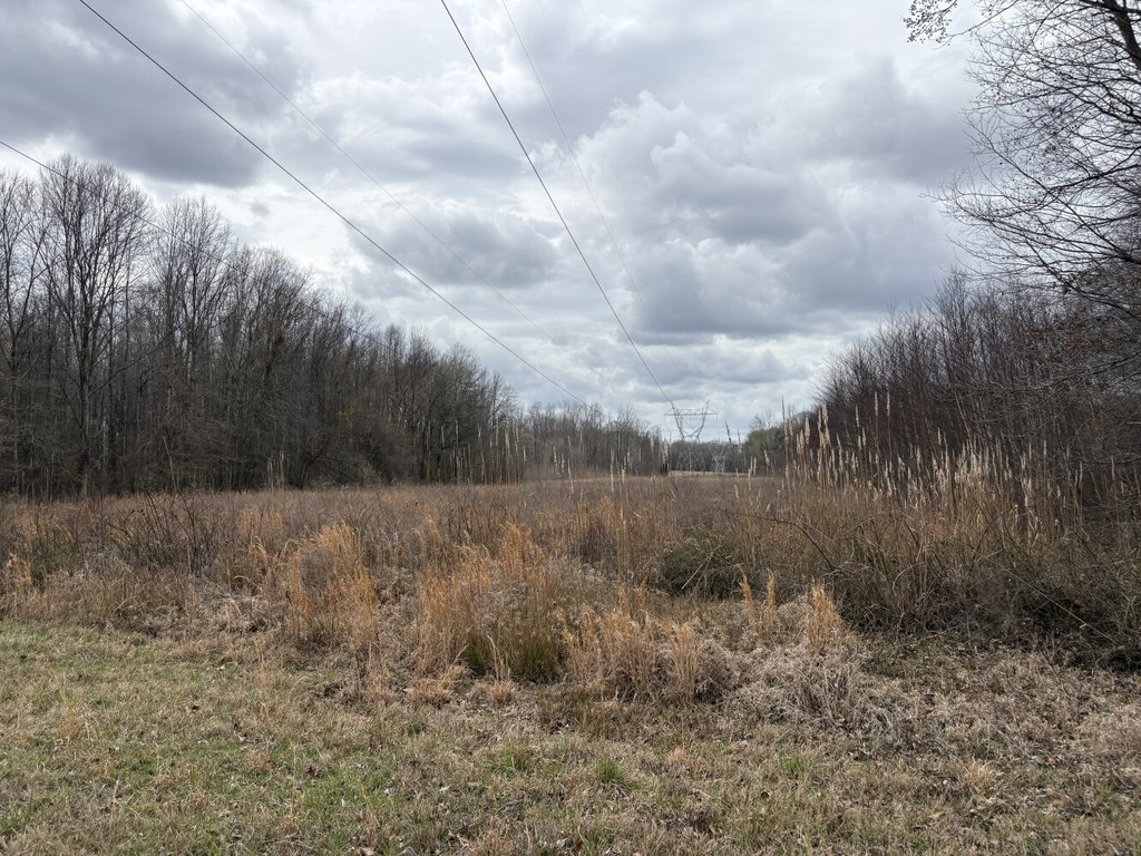 Picture 24