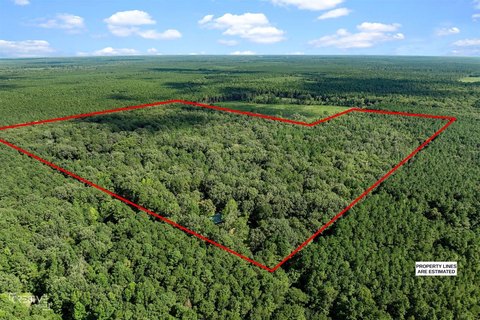 Timberland Acreage with Home
