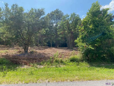 Light Commercial Restricted Land Lot
