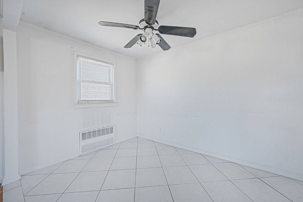 Picture 31