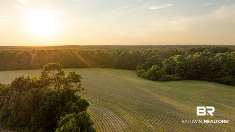 Land, Stapleton, AL
