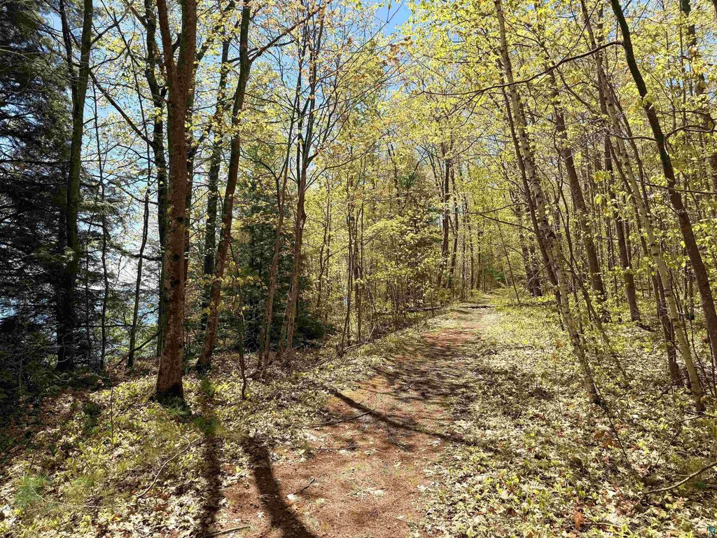 Picture 7