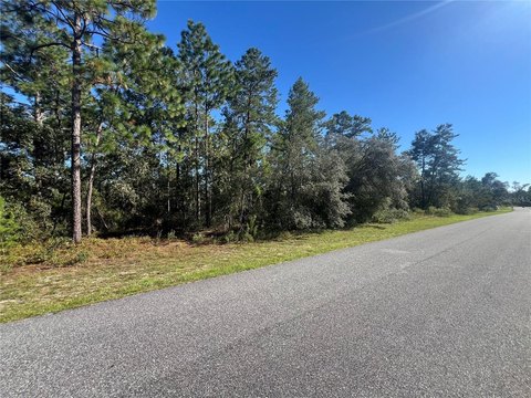 Land, CITRUS SPRINGS, FL