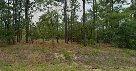 Land, DUNNELLON, FL