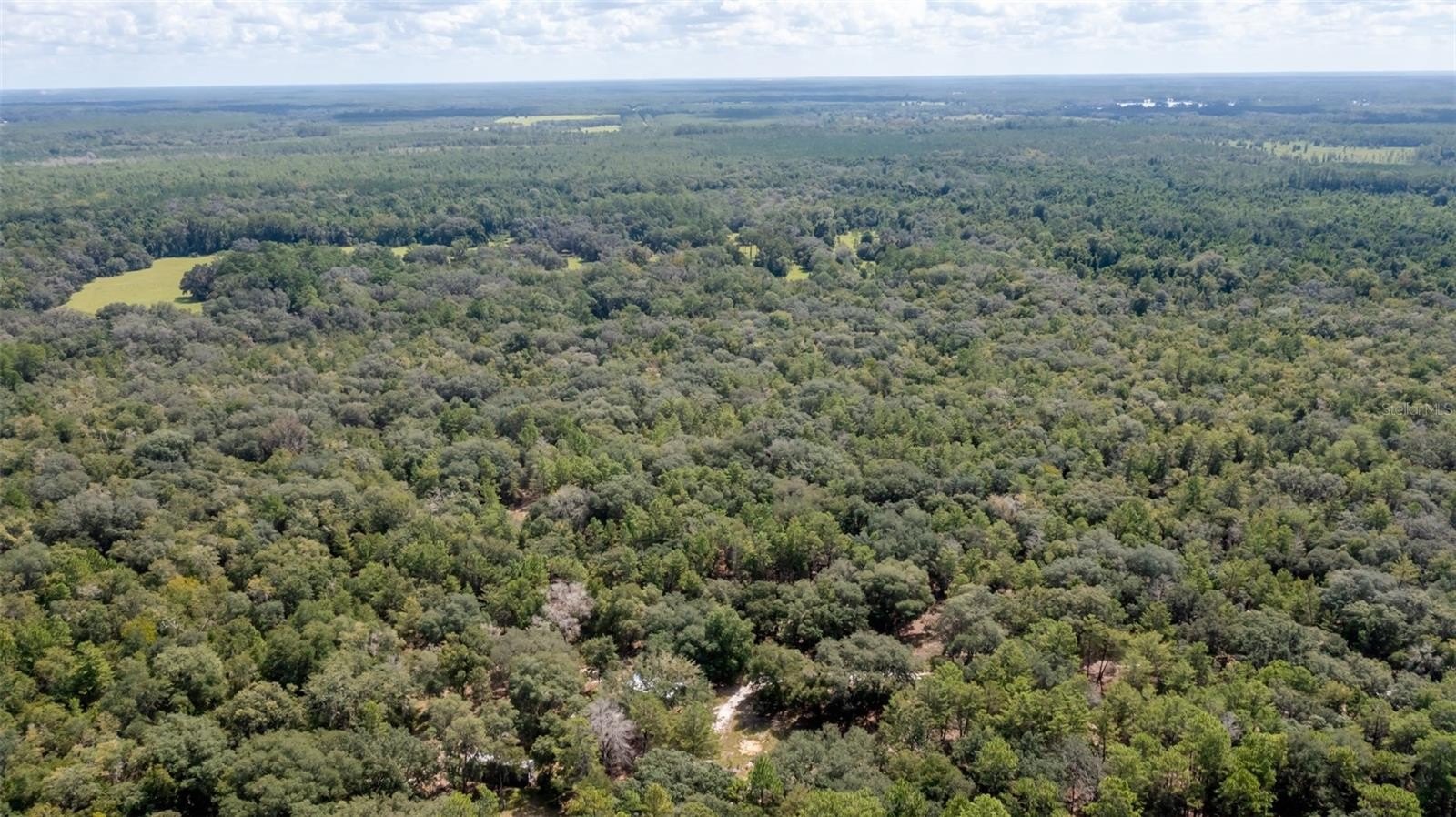 20-Acre Land with Pole Barn