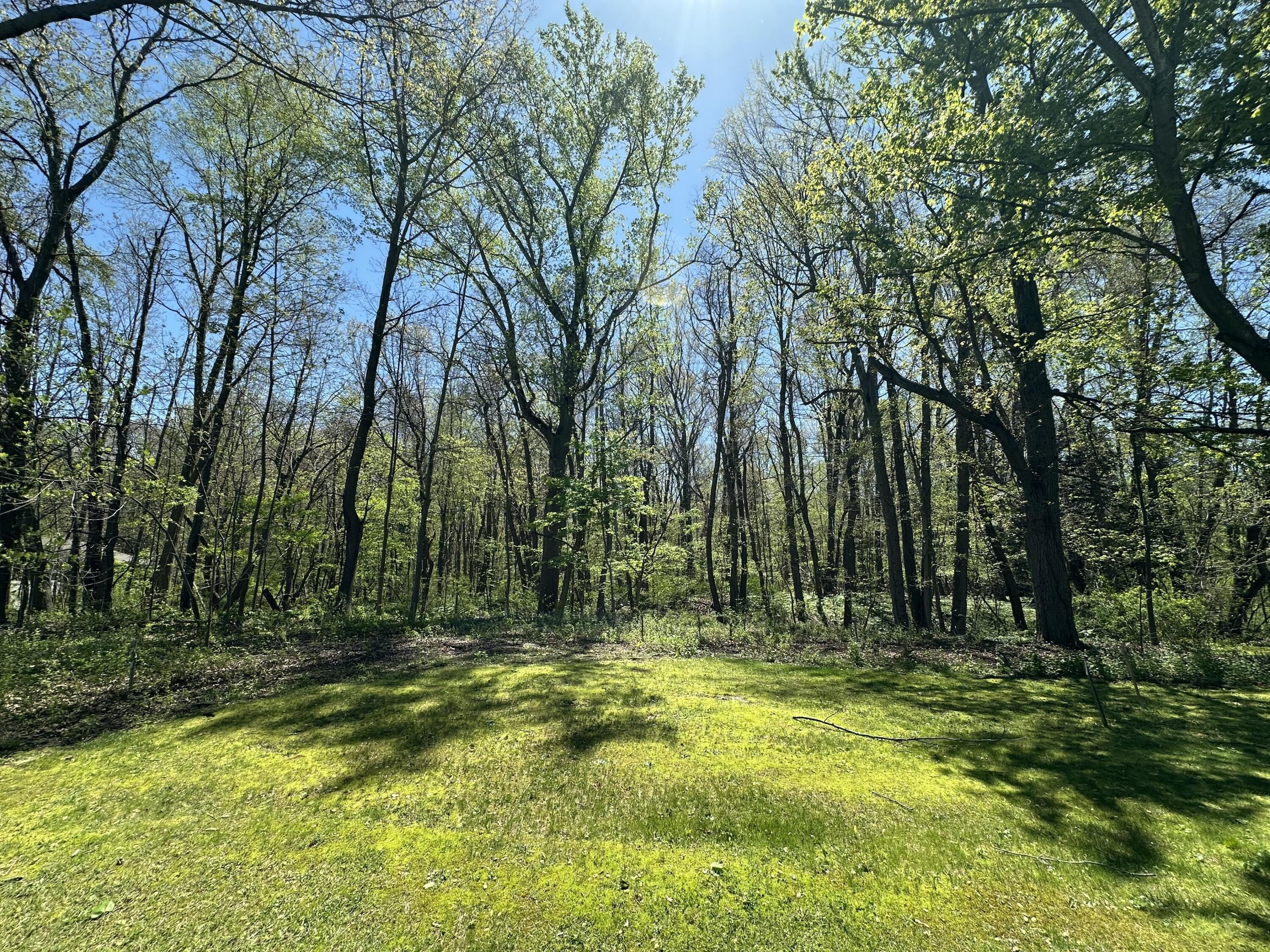 Half-Acre Lot Near Downtown