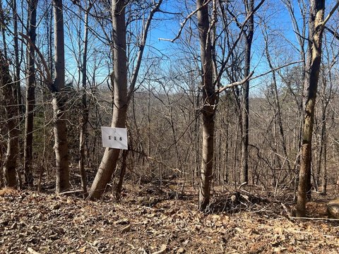 Residential Land in Rocky Face