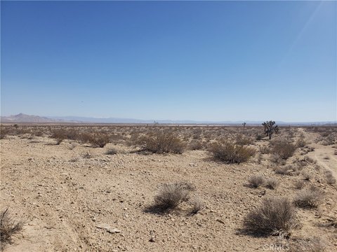 Flat Land Near Highway 395