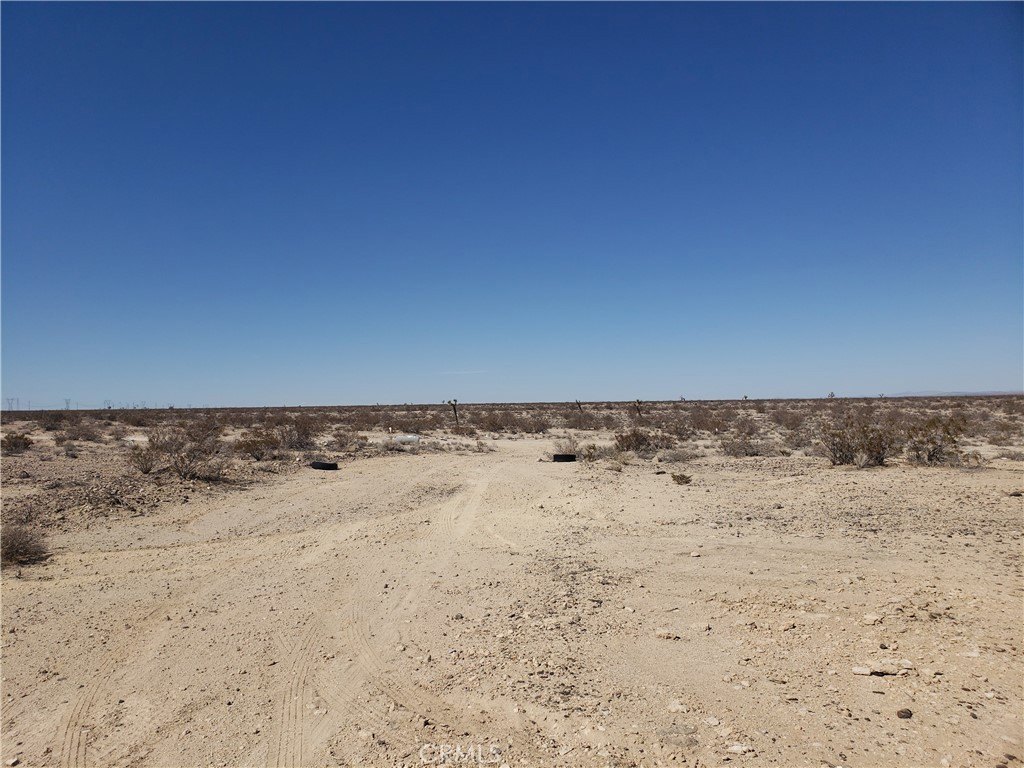 Picture 6