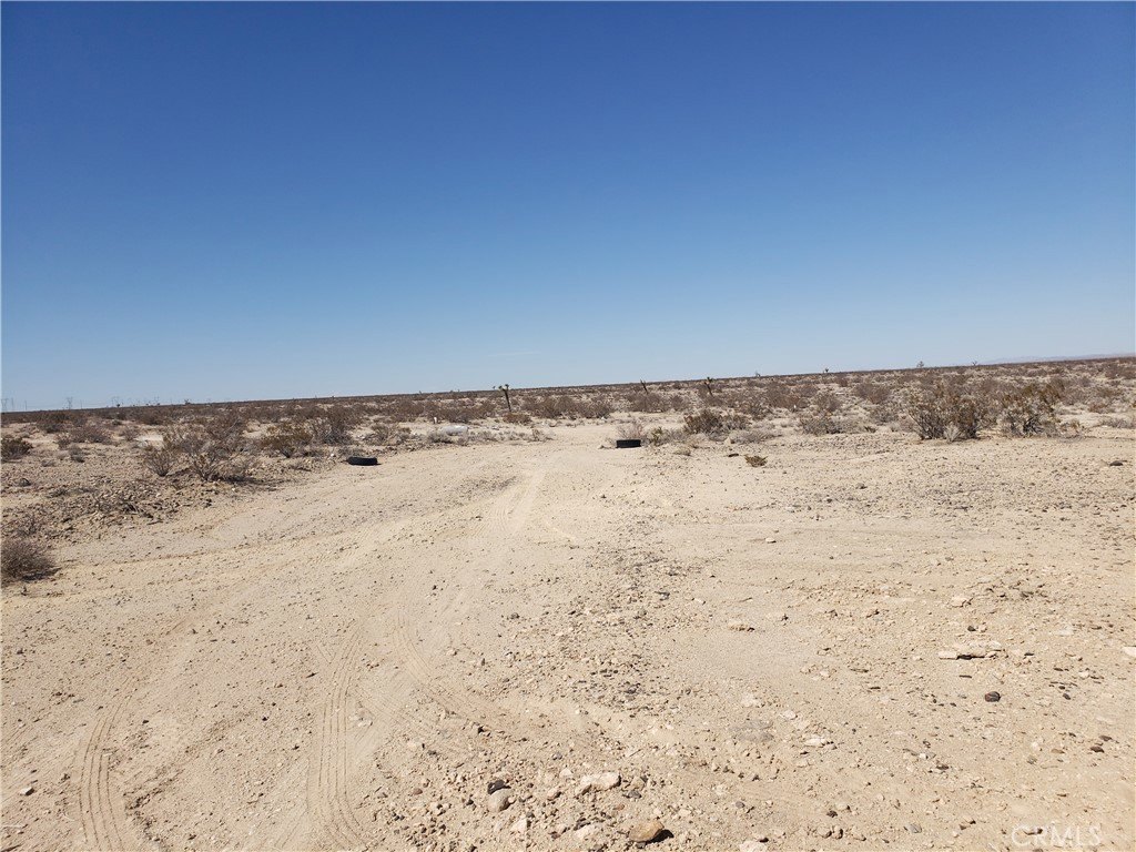 Picture 5