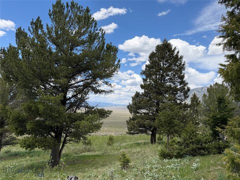 LAND - Cameron, MT