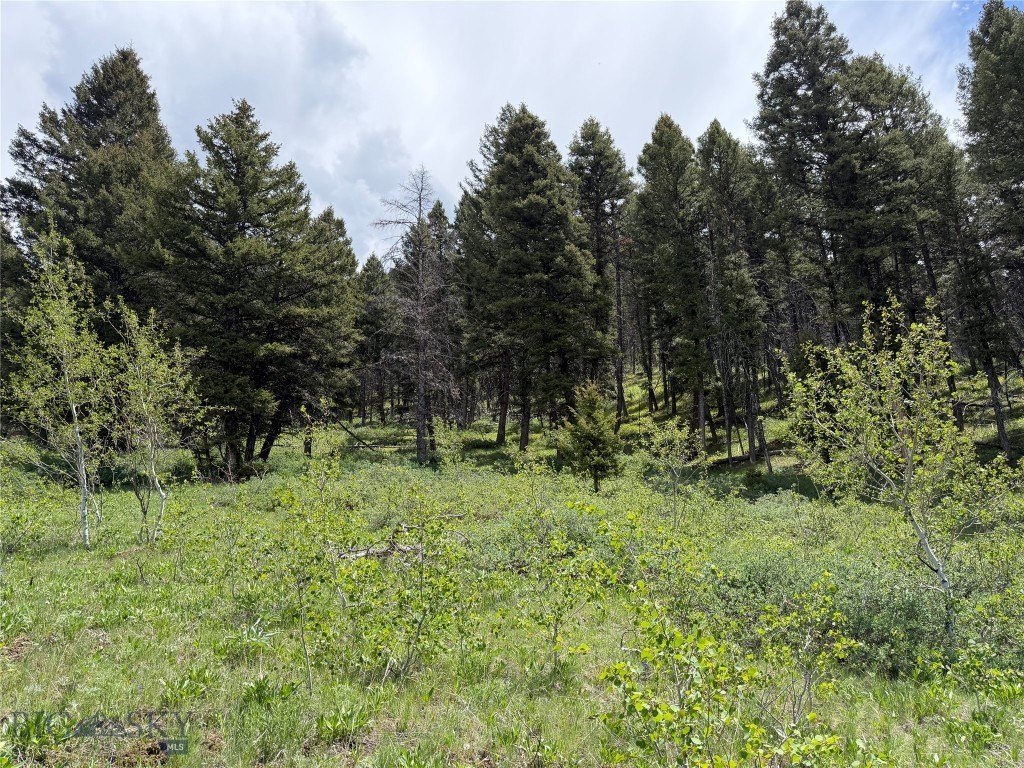 Picture 15