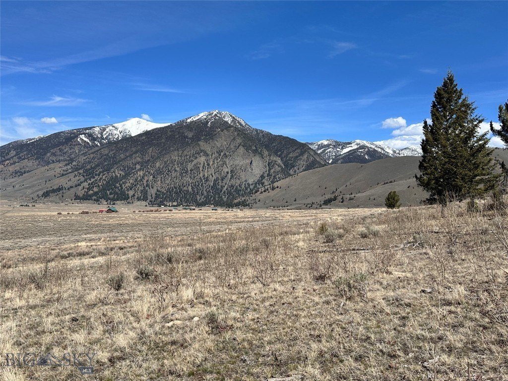 Picture 33